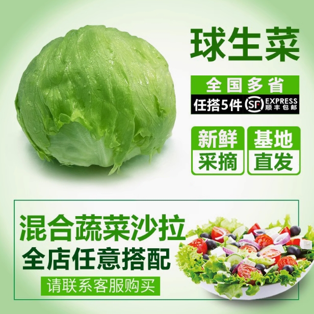 球生菜500g新鲜蔬菜沙拉食材汉堡球形西生菜