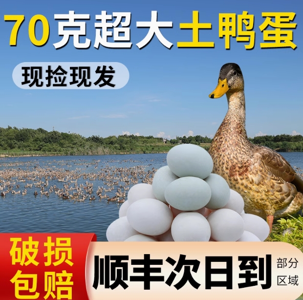 农村鸭蛋新鲜农家散养70g超大非海土鸭青壳生鸭子蛋30枚整箱