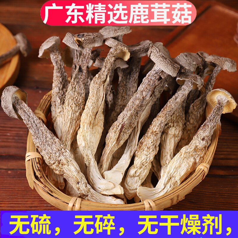 鹿茸菇干货500g