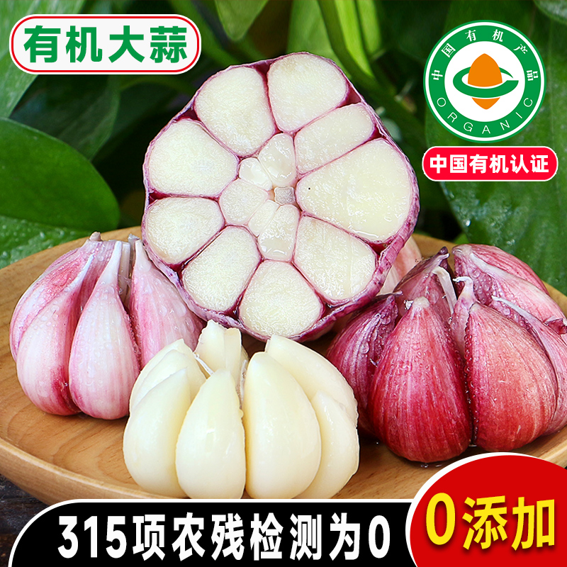 东升农场 有机上海青苗 有机鸡毛菜苗 广州有机新鲜蔬菜配送 250g