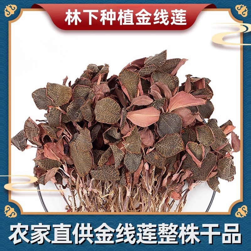 福建金线莲500g